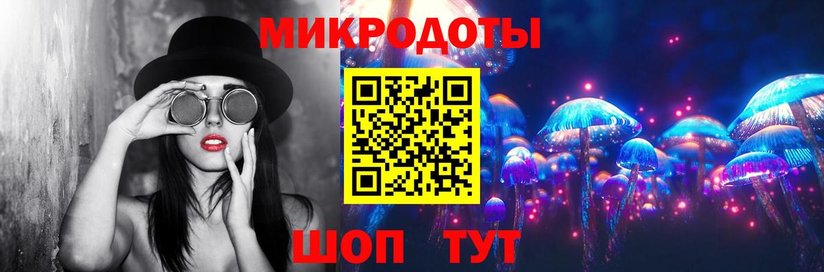 Псилоцибиновые грибы Psilocybine cubensis Луховицы